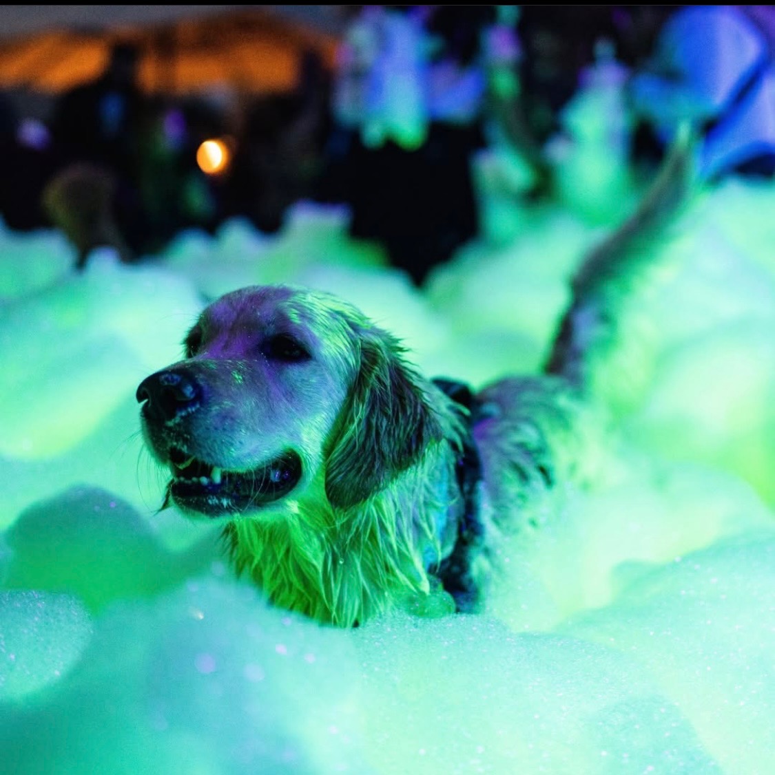 Fun for the whole family - Uncle Als Foam Parties foam party rentals Thibodeaux, LA